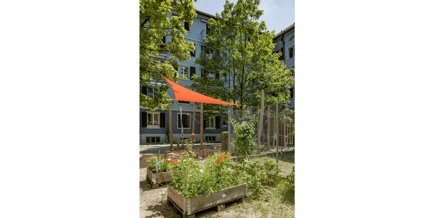 gbmz genossenschaft - Urban Gardening im Innenhof Zypressen